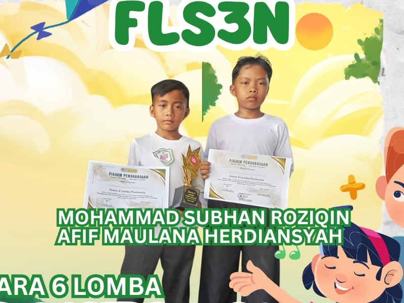 FLS3N